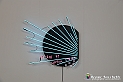 VBS_8589 - Artissima 2022 - Ventinovesima Edizione